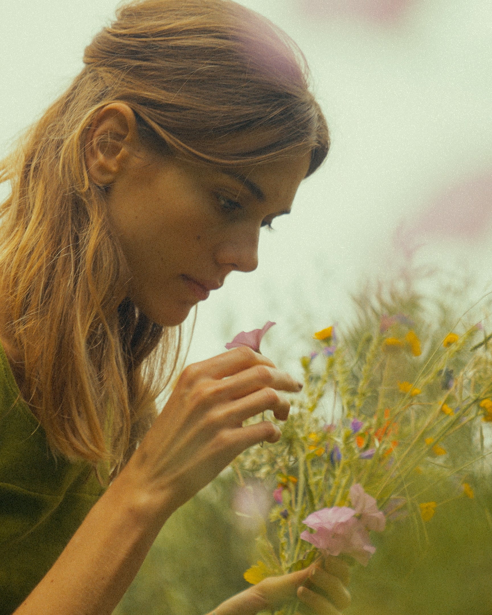 la pampa fleurs