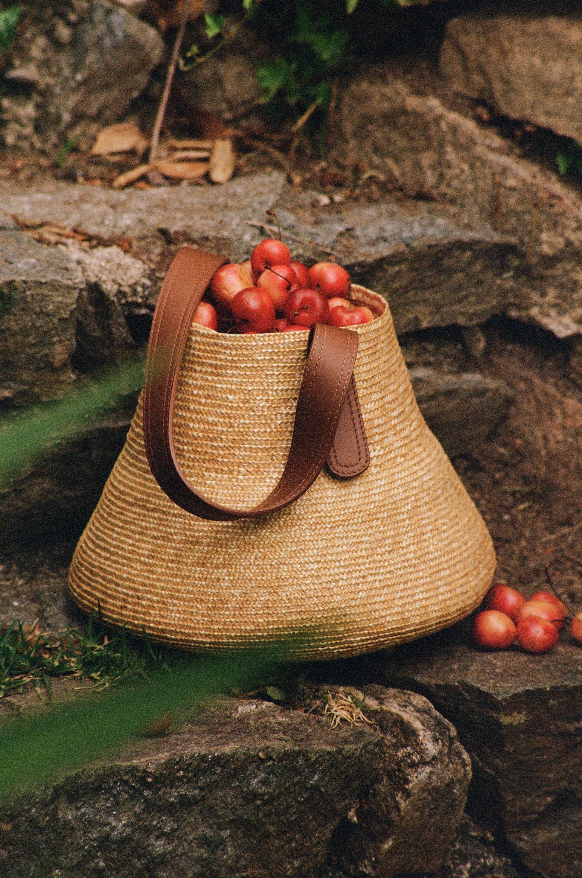 Pampelonne basket